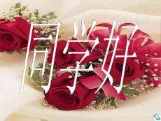 物理诊断发热精品ppt课件