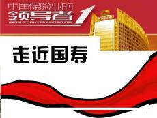 中国人寿企业实力发布ppt课件