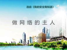 中学生网络安全教育 (2)ppt课件