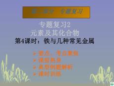 铁和其他常见金属正式版ppt课件