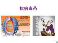 抗真菌药及抗病毒药ppt课件