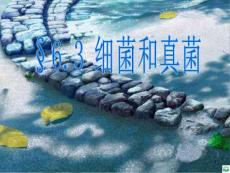 细菌和真菌--华师大版ppt课件