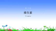 维生素-生化ppt课件