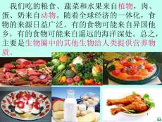 第一节食物中的营养物质教学ppt课件