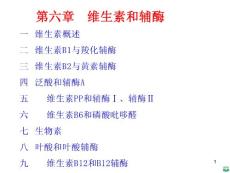 维生素和辅酶精品ppt课件