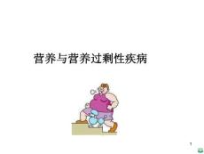 营养过剩ppt课件