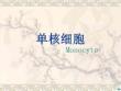 单核细胞ppt课件