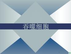吞噬细胞ppt课件