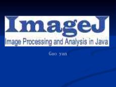 image j的使用(分析熒光圖片)
