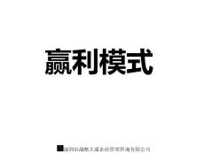 盈利模式解析与战略规划19P