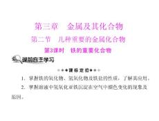 [原創(chuàng)]2011年《隨堂優(yōu)化訓(xùn)練》化學(xué) 新課標(biāo)人教版 必修一 第三章 金屬及其化合物 第二節(jié) 第3課時 鐵的重要化合物 [配套課件]