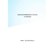 智能音頻編解碼集成芯片項(xiàng)目資金申請(qǐng)報(bào)告