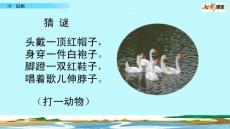 部編人教版小學四年級下冊語文《15 白鵝》共2課時PPT課件57