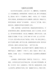 小學生作文《無限風光在險峰》