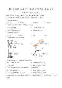 2019年甘肃省天水市中考化学真题（原卷版）