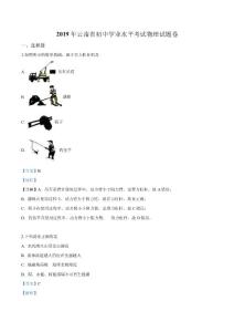 2019年云南省中考物理试题（解析）