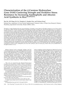 【DSM2】 Characterization of the beta-Carotene Hydroxylase Gene DSM2 Conferring Drought and Oxidative Stress Resistance by Increasing Xanthophylls and Abscisic Acid Synthesis in Rice