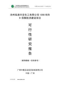 沧州临港丰亚化工有限公司1200吨年9-芴酮可研报告