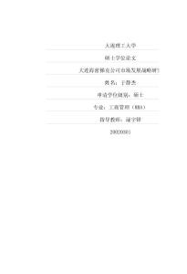 大連海密梯克公司市場發展戰略研究