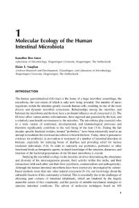 人肠道微生物的分子生态学