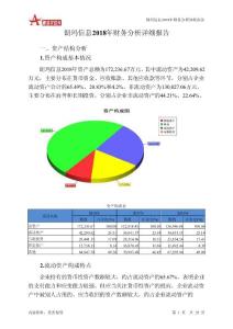 朗玛信息2018年财务分析详细报告-智泽华