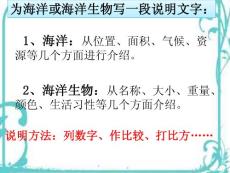 海洋或海洋生物說明文