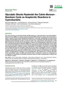 Glycolytic Shunts Replenish the Calvin–Benson–Bassham Cycle as Anaplerotic Reactions in Cyanobacteria+ sup