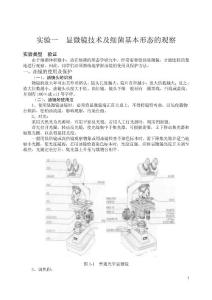微生物檢驗