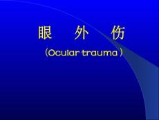 眼外伤ppt课件