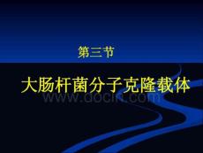 2-2章       第三节 大肠杆菌分子克隆载体 基因工程 教学课件