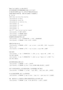 日光男孩的NAT例子