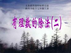 1.4.2有理数的除法2
