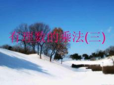1.4.1有理数的乘法3