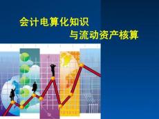 會計(jì)電算化知識與流動(dòng)資產(chǎn)核算