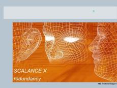 SCALACNE X redundancy_cn