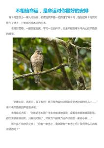 不相信命運(yùn)，是命運(yùn)對你最好的安排