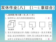 課堂內外九年級數學下冊雙休作業八1_4章綜合課件新版湘教版0104147