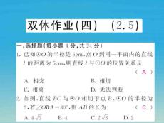 課堂內外九年級數學下冊雙休作業四2.5課件新版湘教版0104152