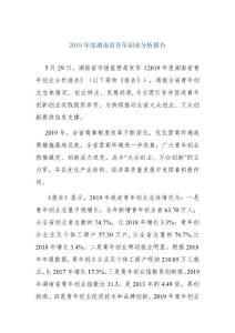 2019年度湖南省青年创业分析报告