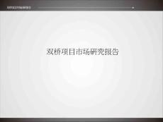 2011最新双桥市场调查报告