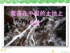 语文沪教版第一册 4.11《雪落在中国的土地上》课件（2）ppt