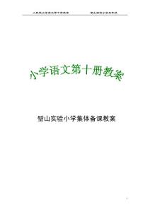 ［人教版］小学语文第10册教案(新课标)