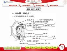 第2讲 细胞器—系统内的分工合作