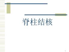 脊柱结核ppt课件