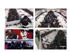 人力資源招聘與錄用實訓步驟