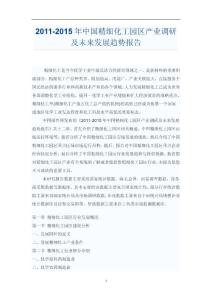 中國精細化工未來發(fā)展趨勢報告