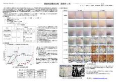 耐食性試験の比較