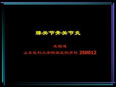 膝關(guān)節(jié)骨關(guān)節(jié)炎2