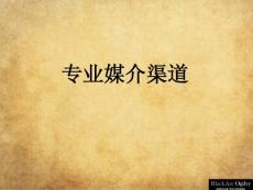 房地产项目策划案 专业媒介渠道