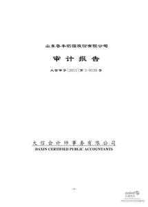 鲁丰股份：2010年年度审计报告  2011-04-08